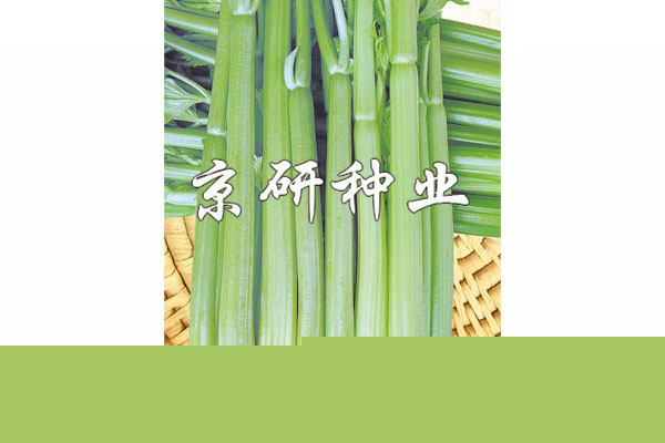 伯爵