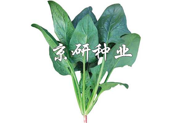 京菠170
